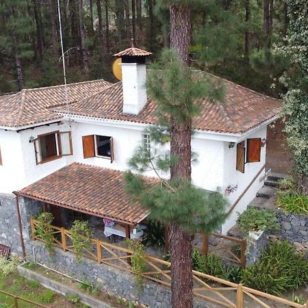 Вілла Floral Garden House Ікод-де-лос-Вінос Екстер'єр фото