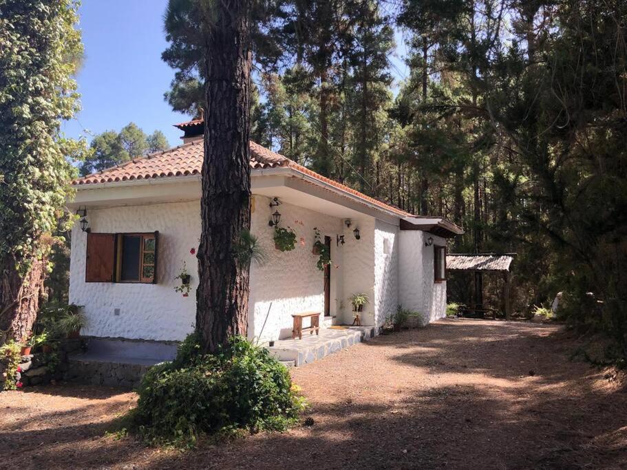 Вілла Floral Garden House Ікод-де-лос-Вінос Екстер'єр фото