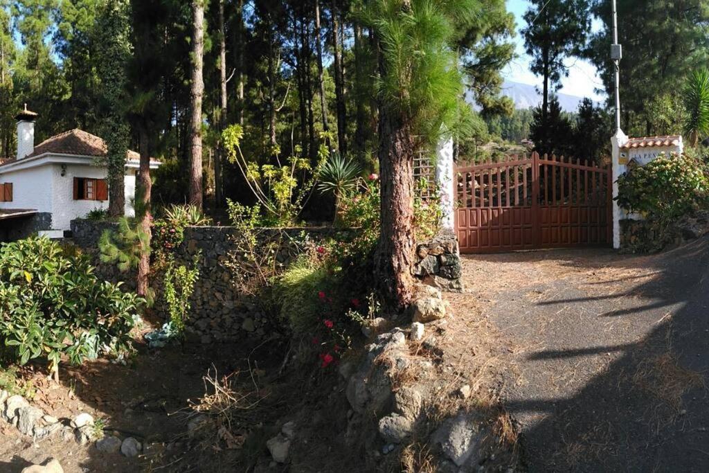 Вілла Floral Garden House Ікод-де-лос-Вінос Екстер'єр фото