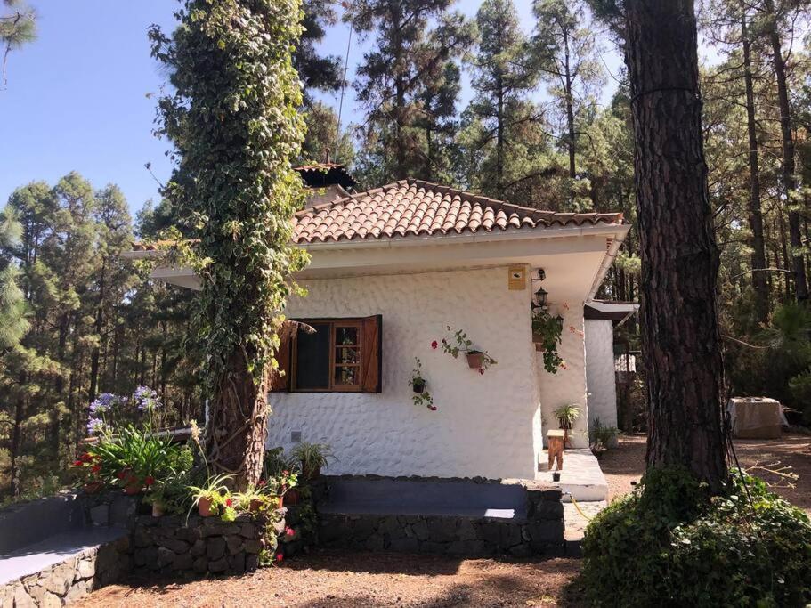 Вілла Floral Garden House Ікод-де-лос-Вінос Екстер'єр фото